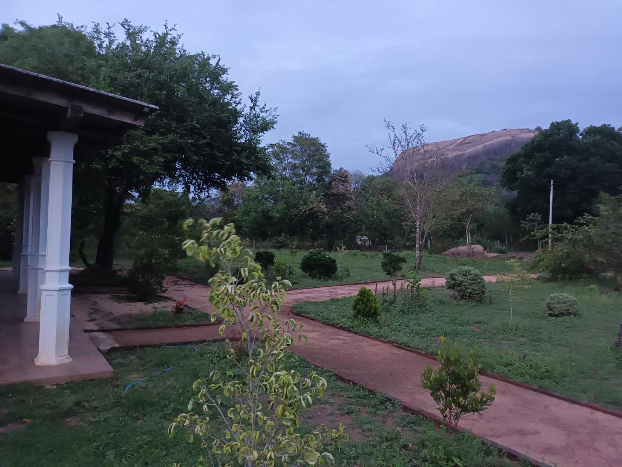Sigiri Arana Sigiriya Hotel Exterior foto